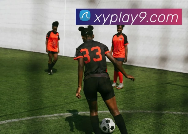 杏运体育官网APP 封面图